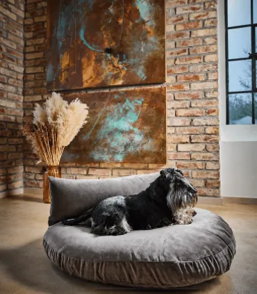 Coussin chien design velours gris Luna Lounge | Bella