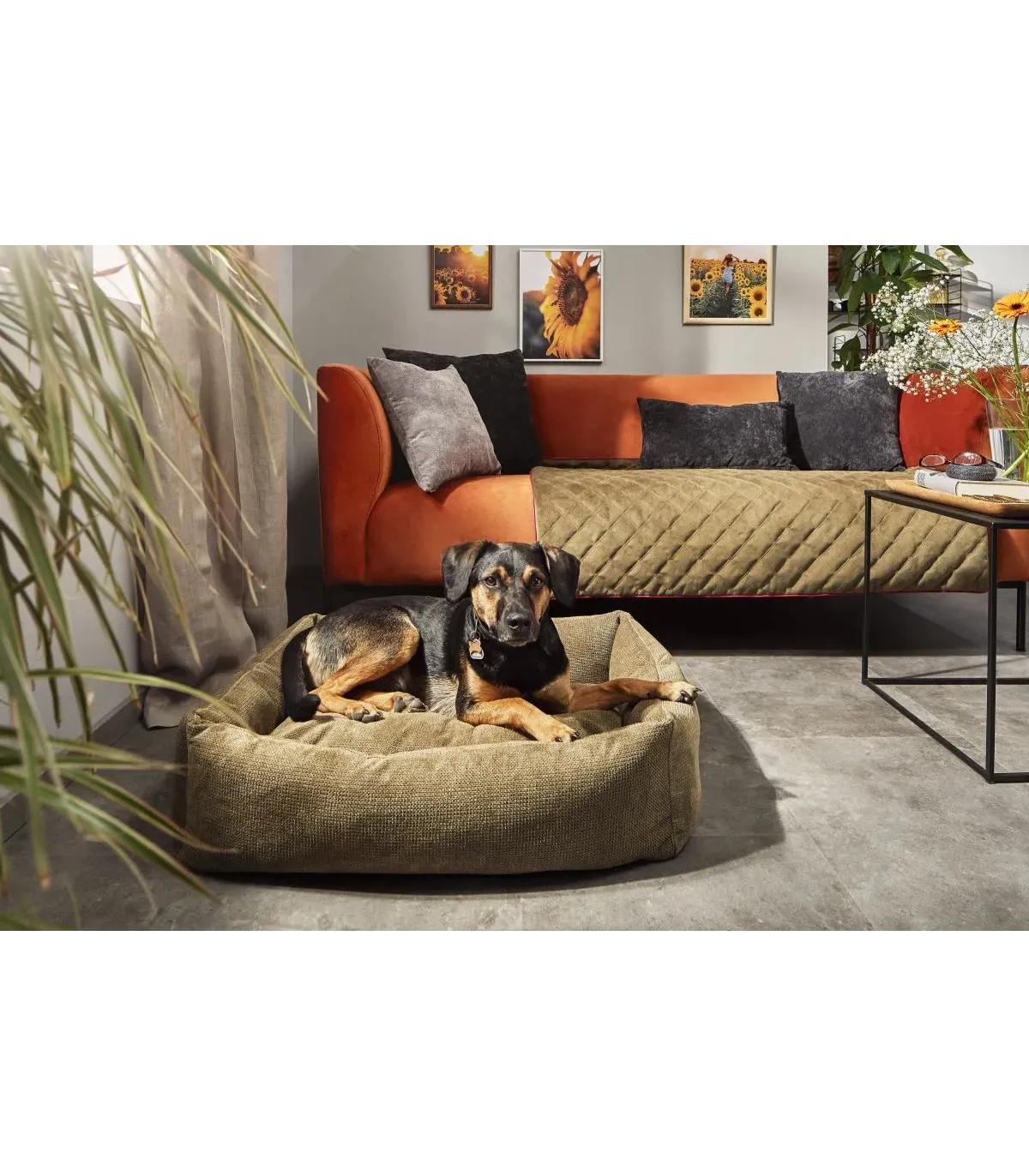 chien panier tudor vert olive - Bella concept store dog