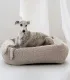 Lévrier whippet allongé dans un lit pour chien Bellagio beige à bords rembourrés