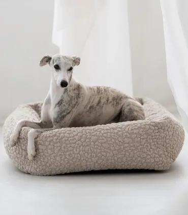 Lévrier whippet allongé dans un lit pour chien Bellagio beige à bords rembourrés