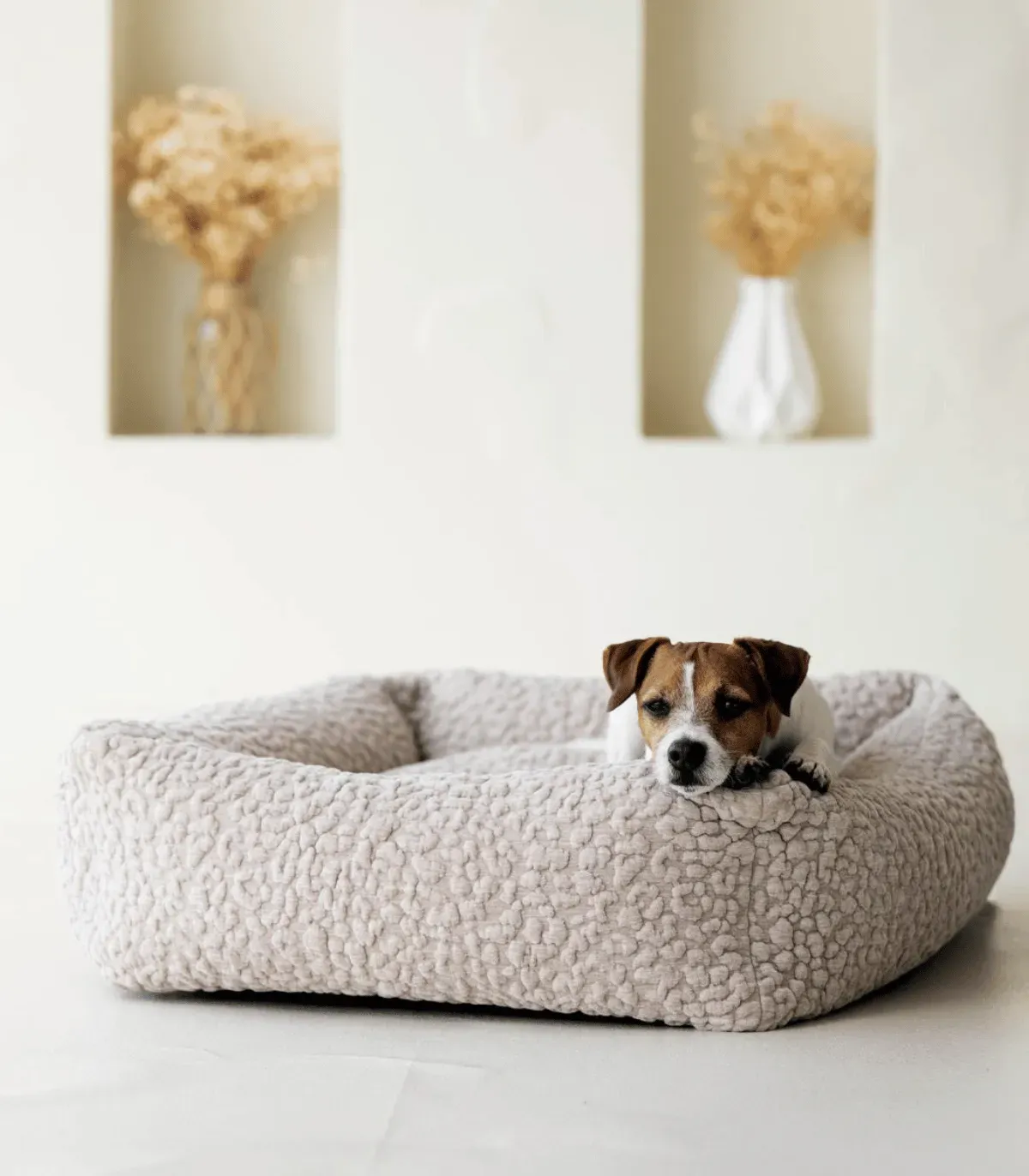 Petit chien installé dans un lit pour chien Bellagio beige, décor de fleurs séchées