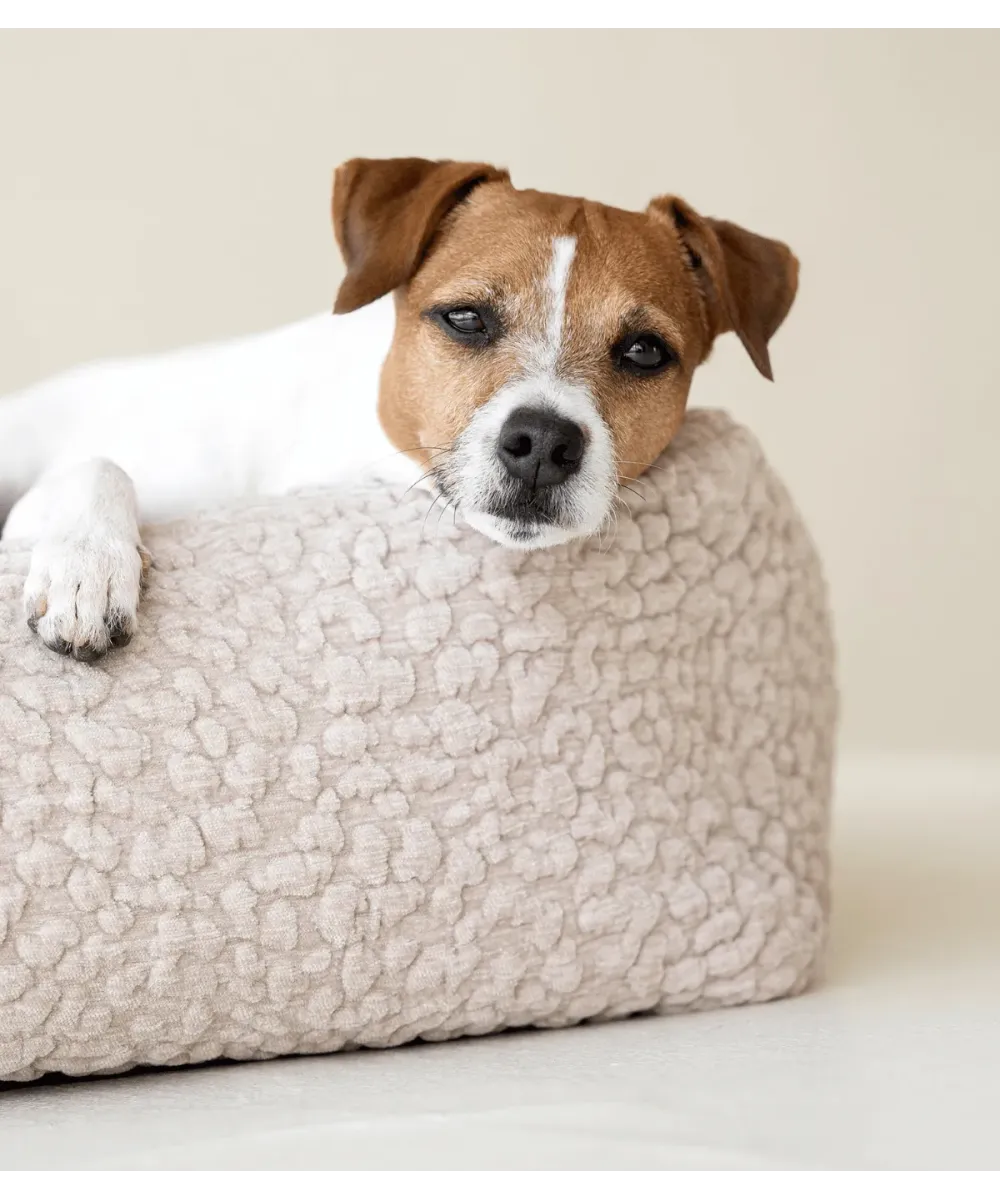 Jack Russell la tête posée sur le rebord d'un lit pour chien Bellagio crème en tissu bouclé