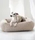 Whippet blanc et gris dans un lit pour chien Bellagio beige devant un rideau clair
