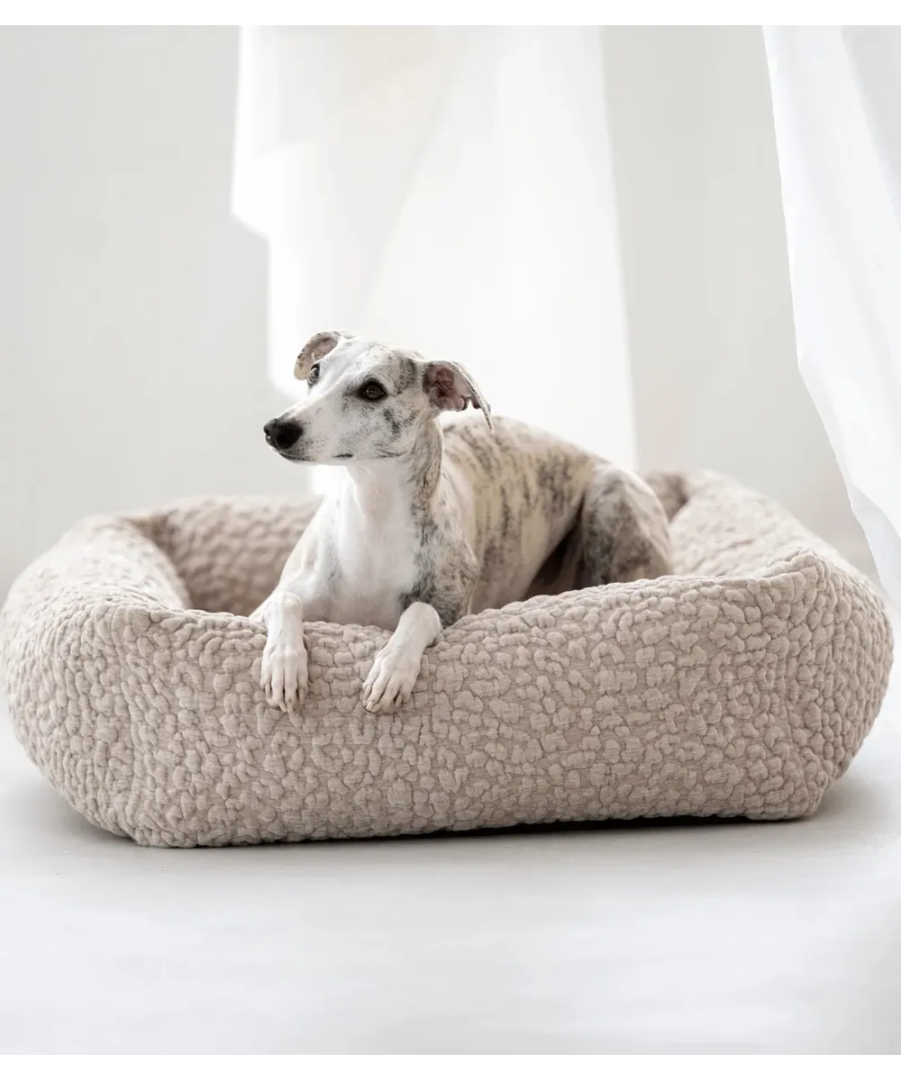 Whippet blanc et gris dans un lit pour chien Bellagio beige devant un rideau clair