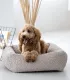 Chien abricot assis dans un lit pour chien Bellagio beige en tissu bouclé, vue de face