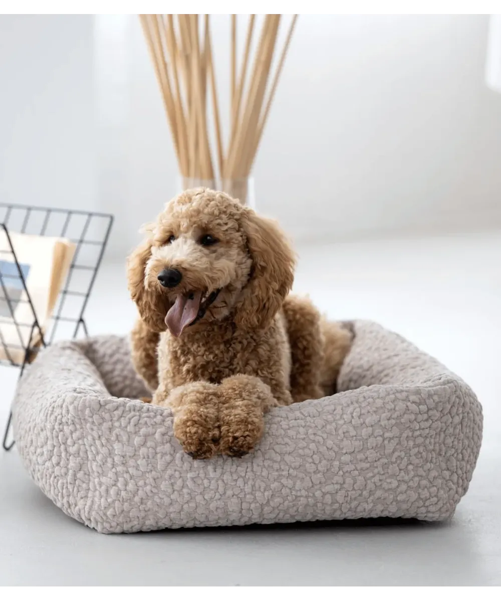 Chien abricot assis dans un lit pour chien Bellagio beige en tissu bouclé, vue de face