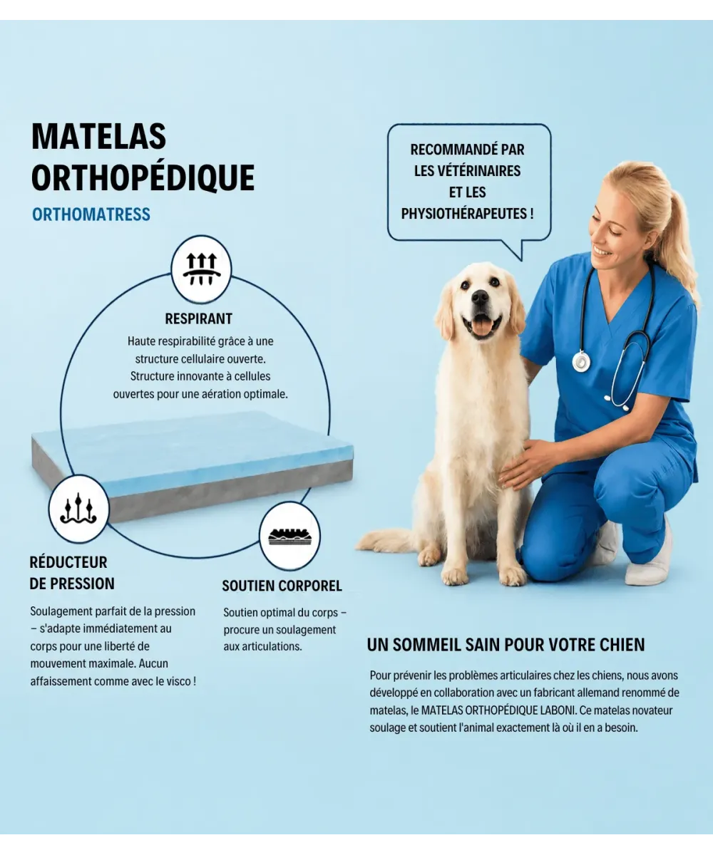 Schéma du matelas orthopédique du lit pour chien Bellagio : soutien de la colonne vertébrale