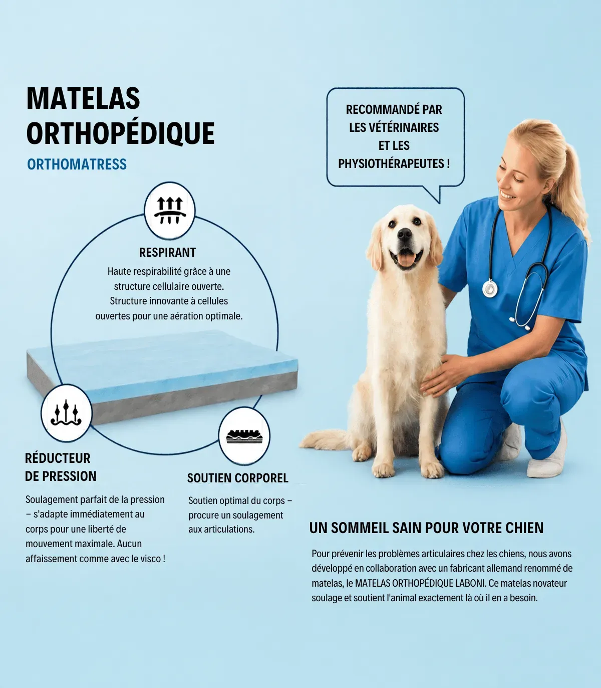 Schéma du matelas orthopédique du lit pour chien Bellagio : soutien de la colonne vertébrale