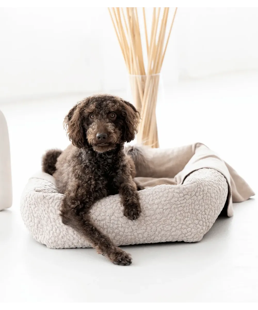 Chien brun frisé assis dans un lit pour chien Bellagio beige en tissu bouclé, Bella Concept Store Dog