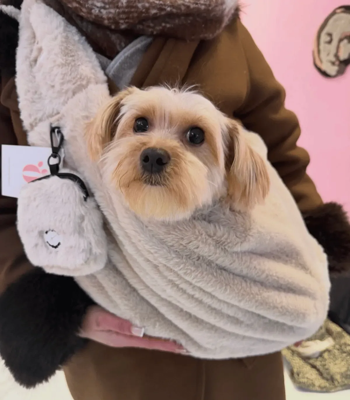 Sac de Transport Chien Fluffy Beige – Confort & Anti-Stress