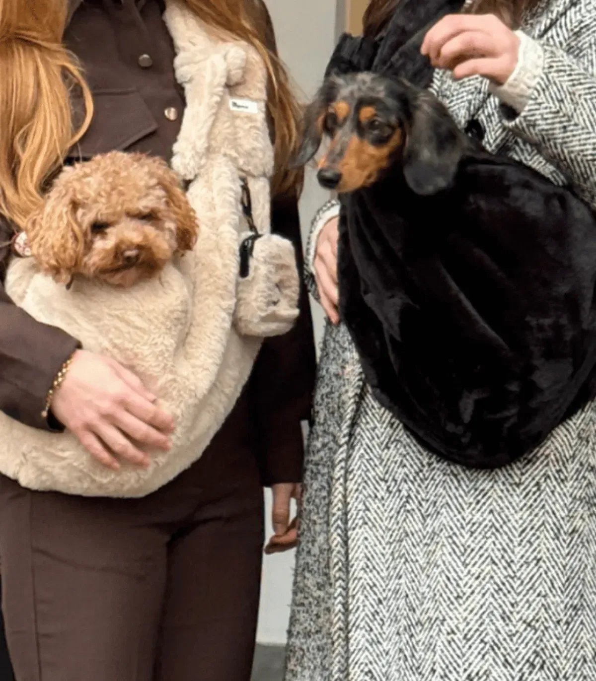 Sac de Transport Chien Fluffy Beige – Confort & Anti-Stress