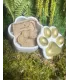 Écrin patte ouvert laissant voir son savon Canacciu artisanal pour chien et son emballage kraft, posé sur de la mousse