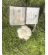 Savon Canacciu artisanal pour chien en forme de patte, devant ses étiquettes, posé sur de la mousse