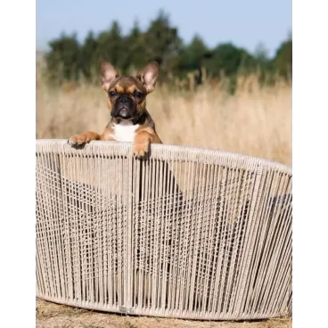 Panier pour chien Vogue design Oxford grey - LABONI