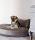 Matelas pour chien 90x65 cm Luna Lounge maintien stable LABONI