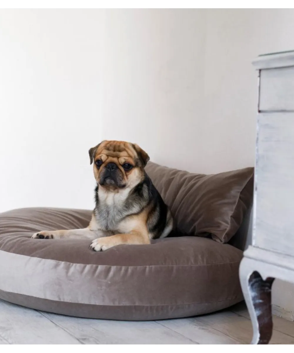 Matelas pour chien 90x65 cm Luna Lounge maintien stable LABONI