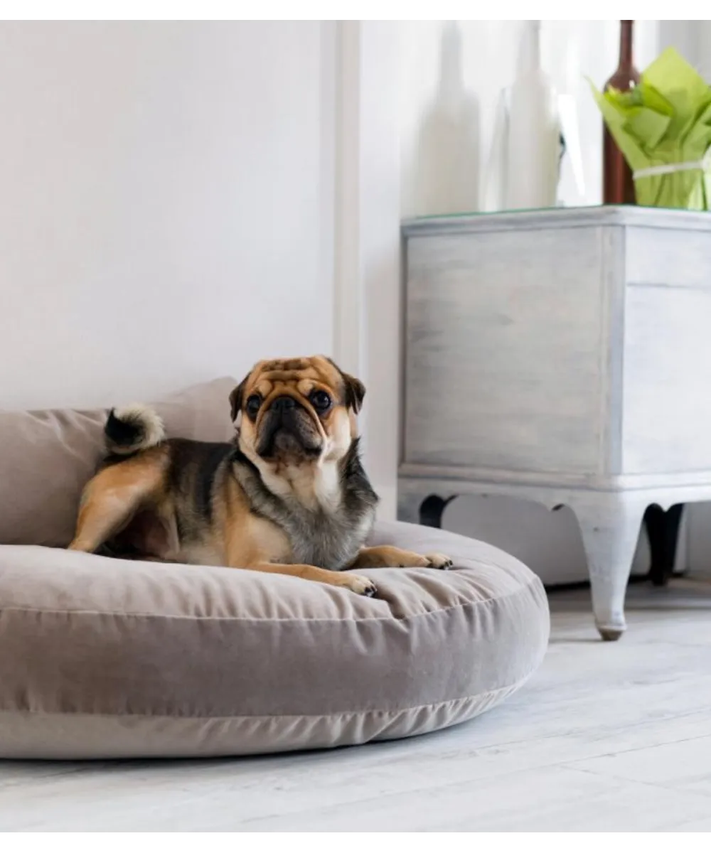 Oreiller du couchage pour chien Luna Lounge fibres silicones 3D