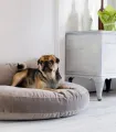 Oreiller du couchage pour chien Luna Lounge fibres silicones 3D