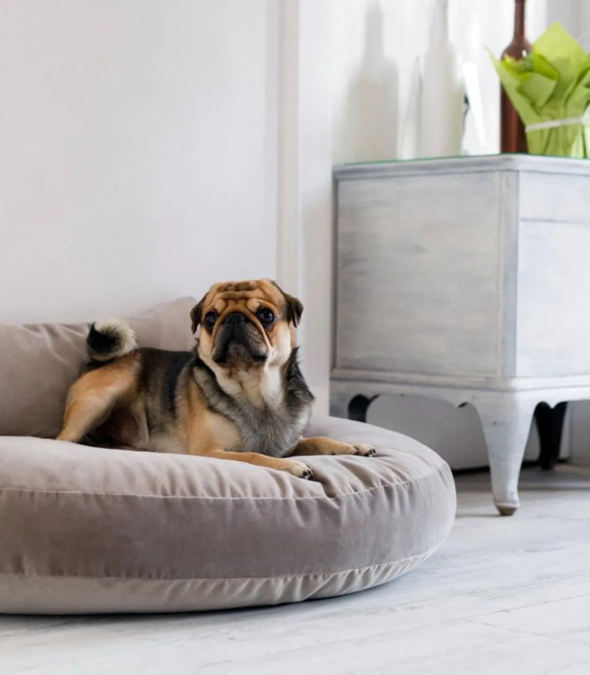 Oreiller du couchage pour chien Luna Lounge fibres silicones 3D