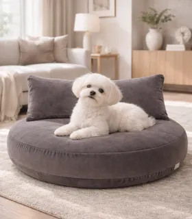 Coussin chien design Oxford Stone dans un intérieur contemporain
