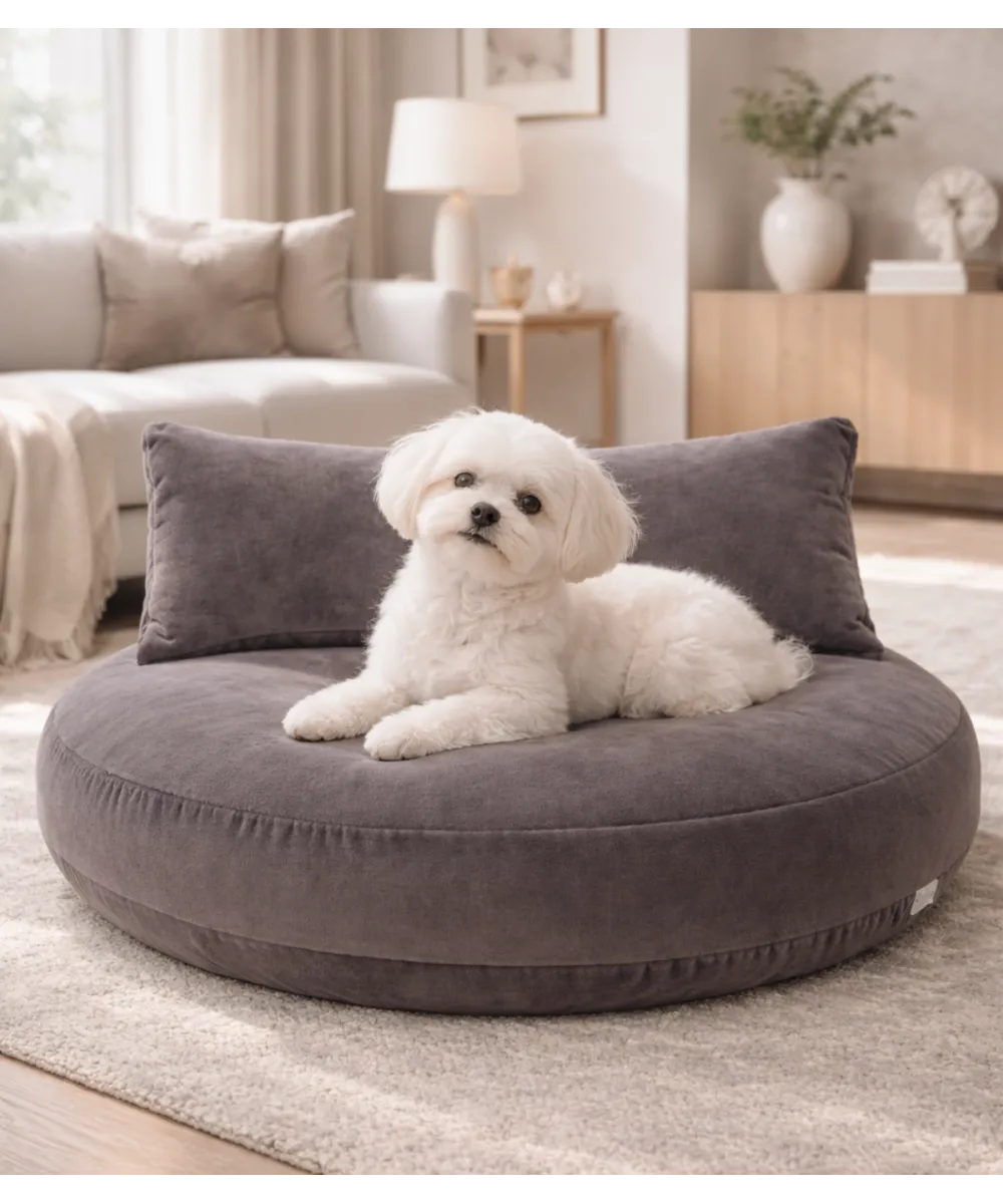 Coussin chien design Oxford Stone dans un intérieur contemporain