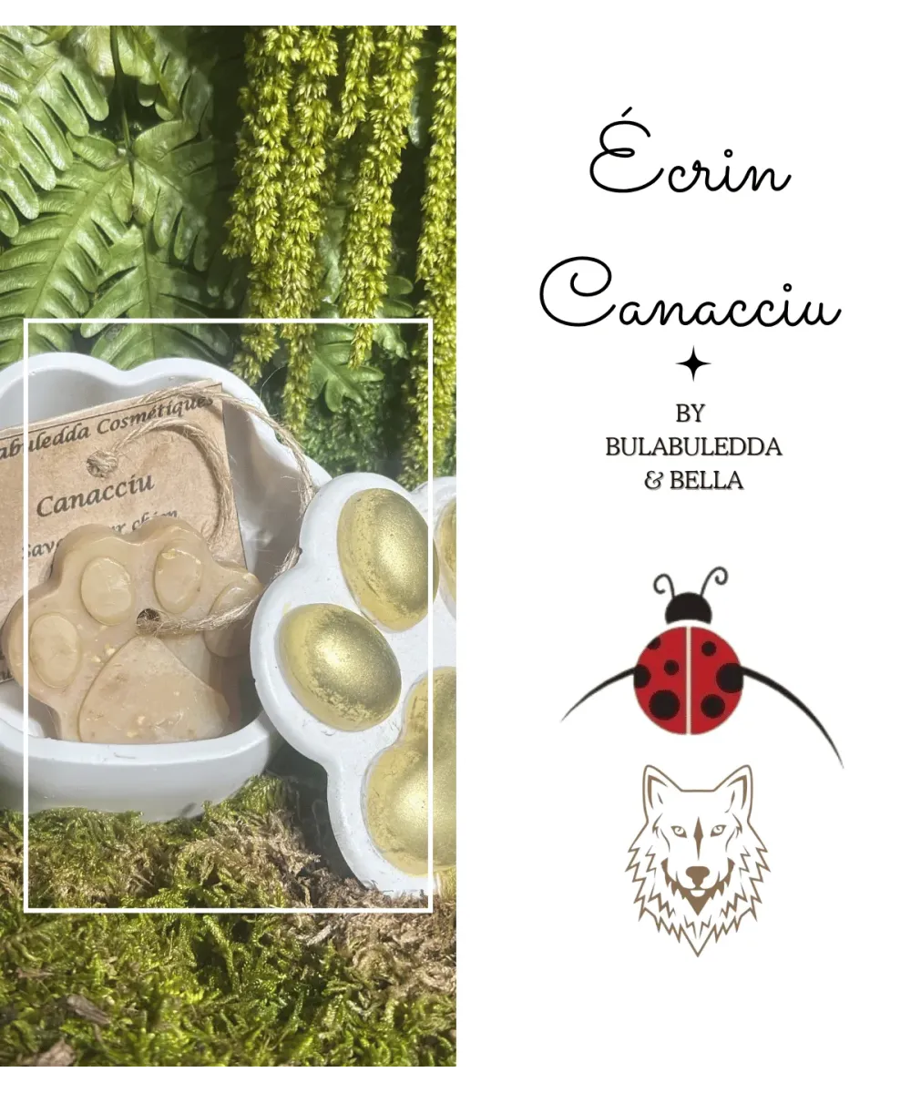 Montage de l’écrin patte et de son savon Canacciu sur la mousse, avec une coccinelle et la mention Écrin Canacciu