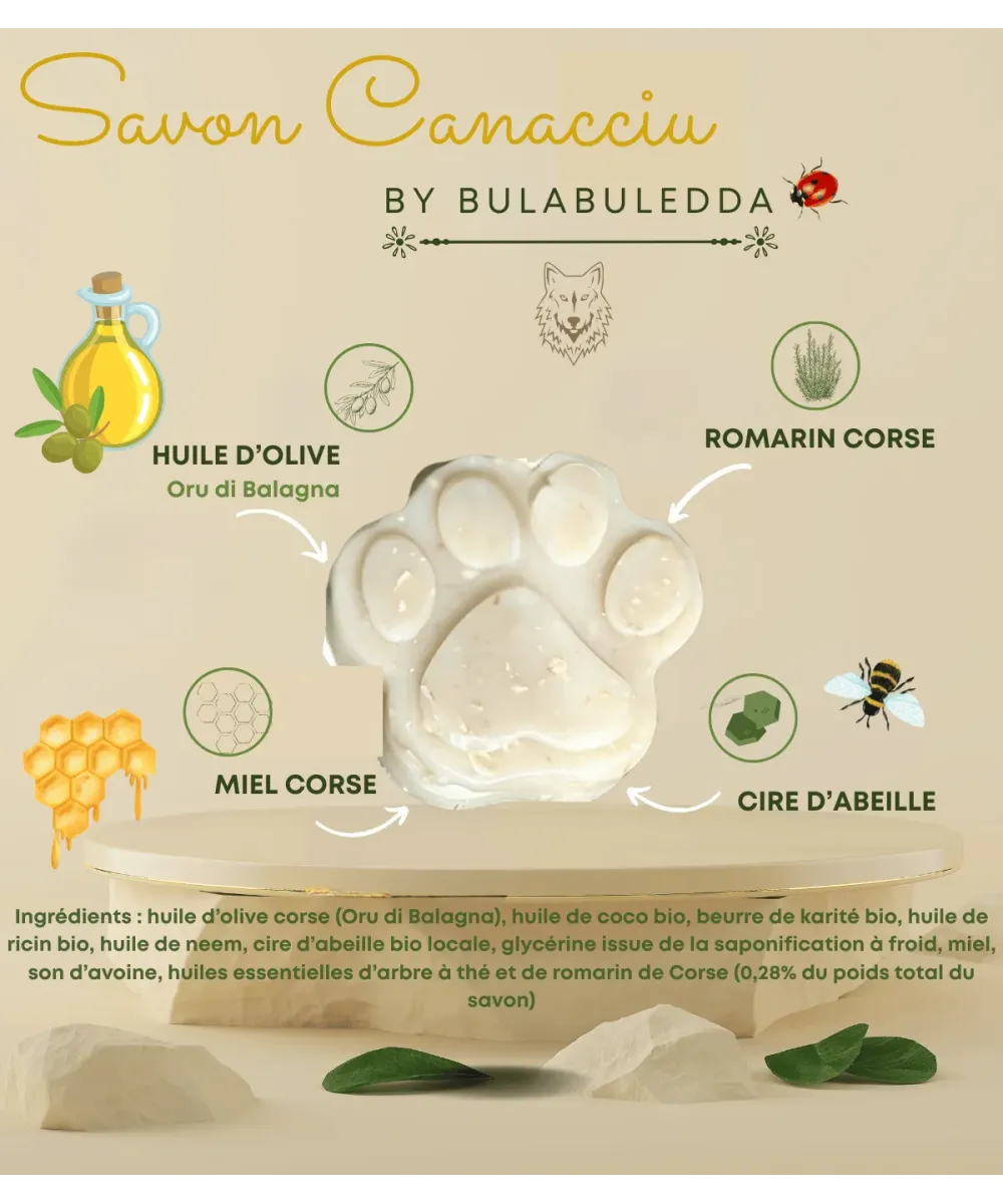 Fiche illustrée du savon Canacciu en forme de patte, avec ses ingrédients dessinés autour
