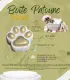 Fiche illustrée « Boîte Patoune dorée » : écrin patte doré posé à côté d’un bol de savon