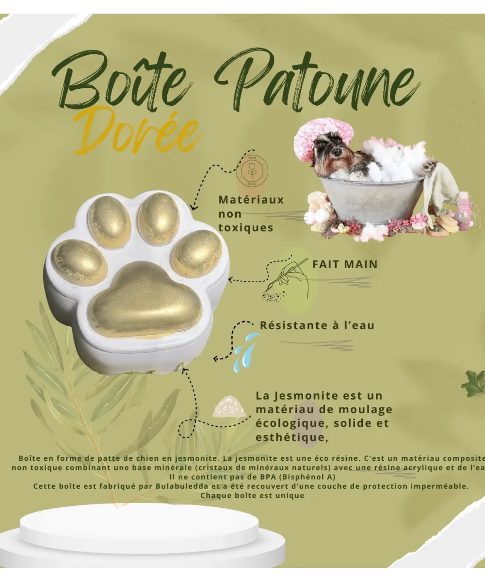Fiche illustrée « Boîte Patoune dorée » : écrin patte doré posé à côté d’un bol de savon