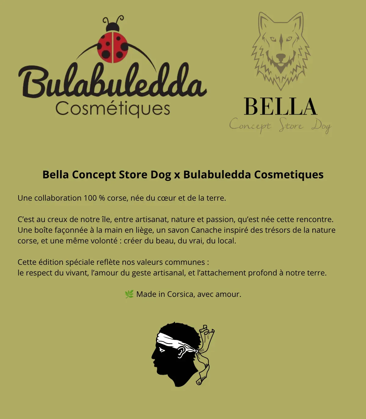 Fiche de présentation Bulabuledda avec une coccinelle et la tête de Maure corse