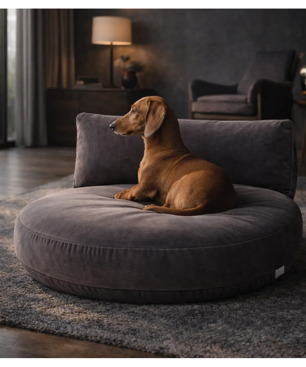 Chien reposant sur le coussin Luna Lounge Oxford Stone LABONI