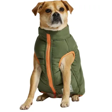 Vue portée par un chien (kaki)