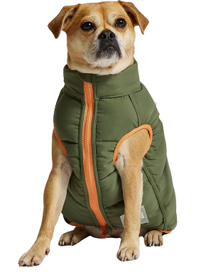 Vue portée par un chien (kaki)