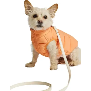 Vue portée par un chien (orange)