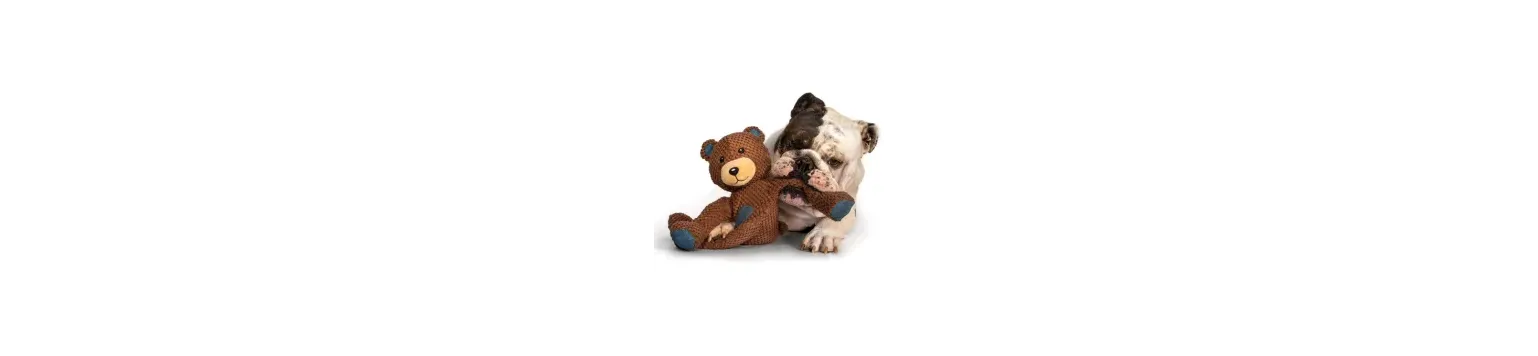Peluches pour chien premium – Douceur, sécurité & style