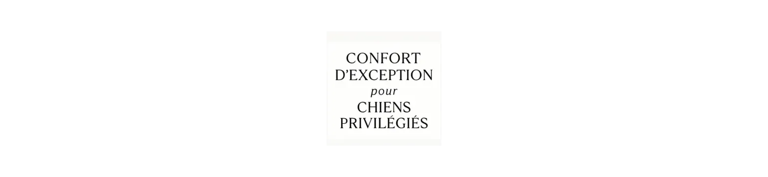 Siège Auto pour chien - Design sécurité & confort – Bella Store Dog