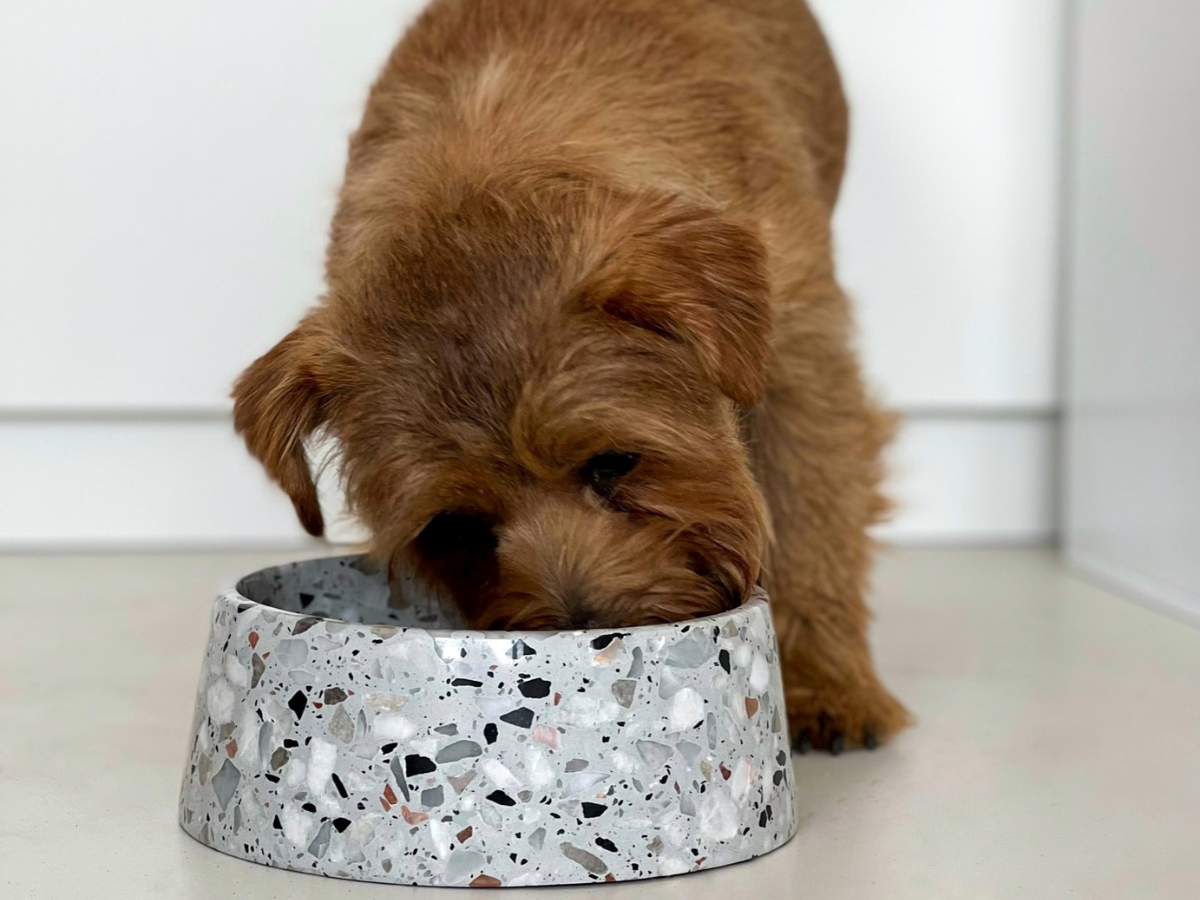 Gamelle Terrazzo pour chien - Bella Concept Store Dog