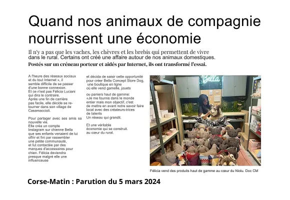 Bella Concept Store Dog - Corse Matin - Notre histoire